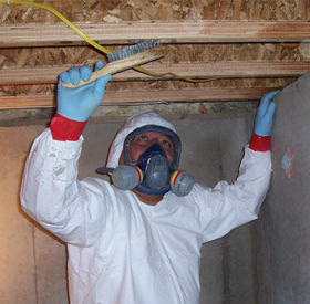 Atlanta Mold Testing and Inspections