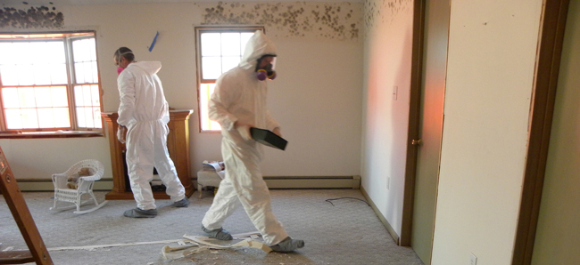 mold-restoration-serivces-